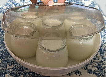 Yogurtera Moulinex