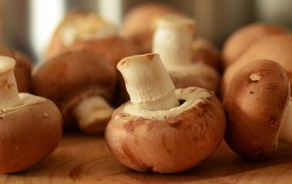 champiñones malos