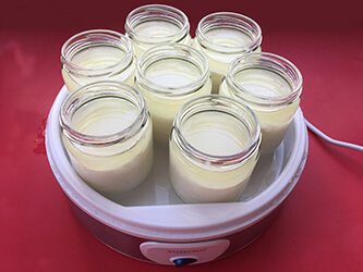 Yogurtera de Lidl